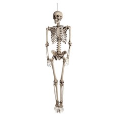 Decor Shop Halloween skelet 90 cm