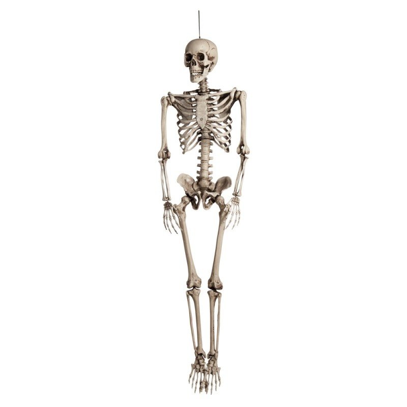 Decor Shop Halloween skelet 90 cm