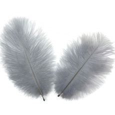 Decor Shop Ostrich Feathers