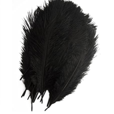 Decor Shop Ostrich Feathers