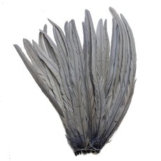 Decor Shop Rooster Feathers