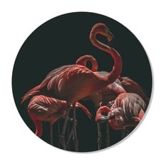 GM Decoratie Wall Circle Flamingo