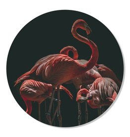 GM Decoratie Muurcirkel Flamingo