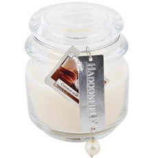 Pusteblume Haddonfield Scented Candle Coconut Milk