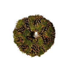 Decor Shop Wreath of pine cones and moss