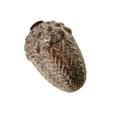 Silver acorn