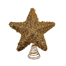 Colmore by Diga Decorative Christmas star gold