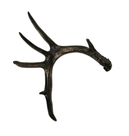 Deer antlers black-gold