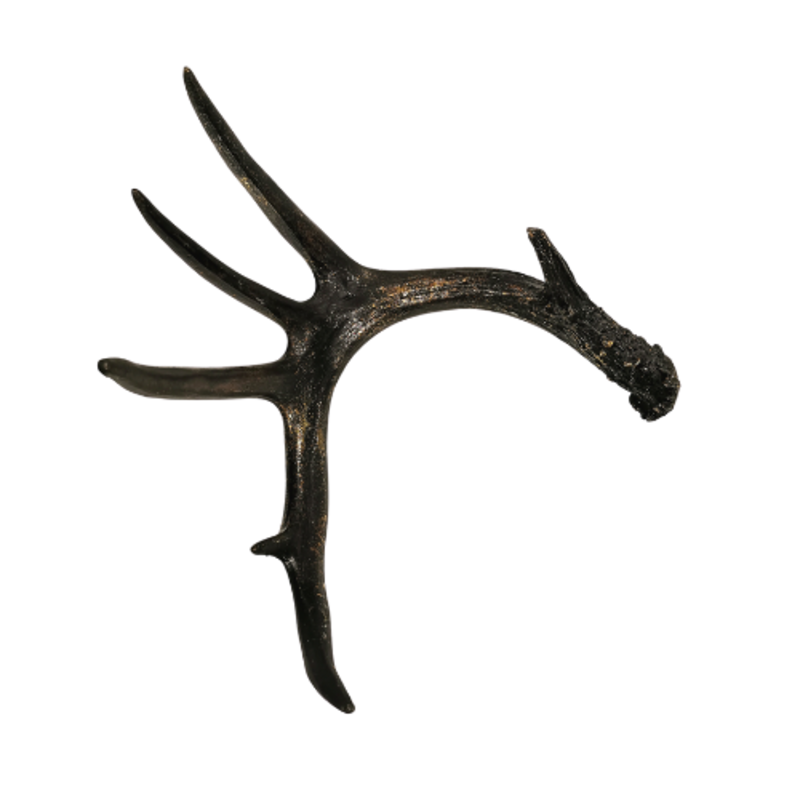 Deer antlers black-gold