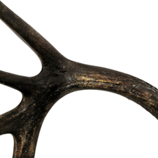 Deer antlers black-gold