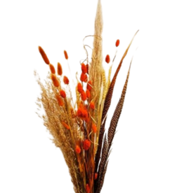 Decor Shop Dried Flowers Bouquet Natural Orange