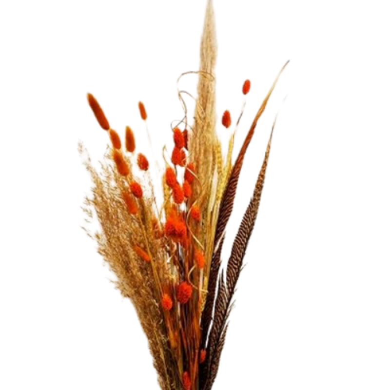 Decor Shop Dried Flowers Bouquet Natural Orange