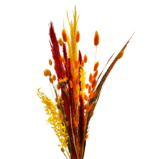 Decor Shop Dried Flowers Bouquet Autumn