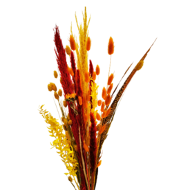 Decor Shop Dried Flowers Bouquet Autumn