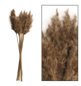 Dijk Natural Collection Wild Reed Plume Naturel