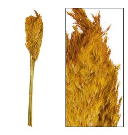 Dijk Natural Collection Wild Reed Plume Ocher Yellow