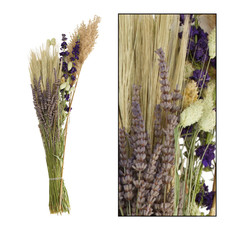 Dijk Natural Collection Droogbloem Boeket Lavendel