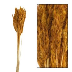 Dijk Natural Collection Reed Plume Autumn