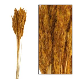 Dijk Natural Collection Reed Plume Autumn