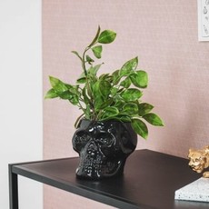 Housevitamin Black Skull Flower Pot