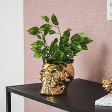 Housevitamin Golden Skull Flower Pot