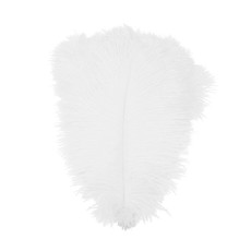 Decor Shop Ostrich Feathers