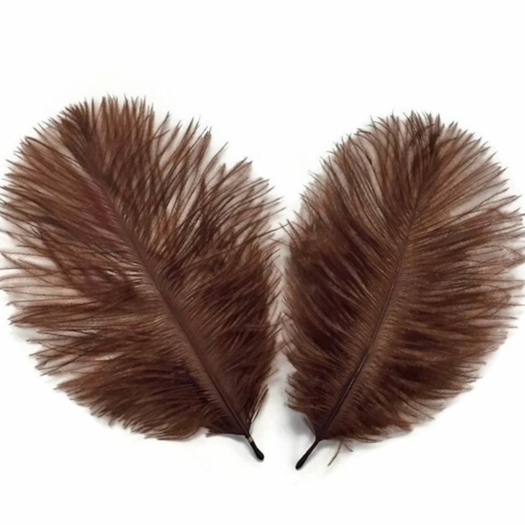 Decor Shop Ostrich Feathers