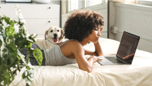 Plants that are safe for your pets
