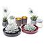 Rootless Rootless WOW Succulent mix - 8 items