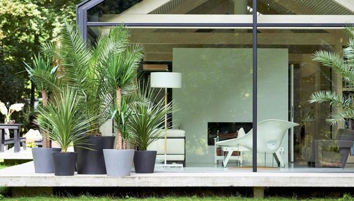 Plantes extérieures pour terrasse et balcon