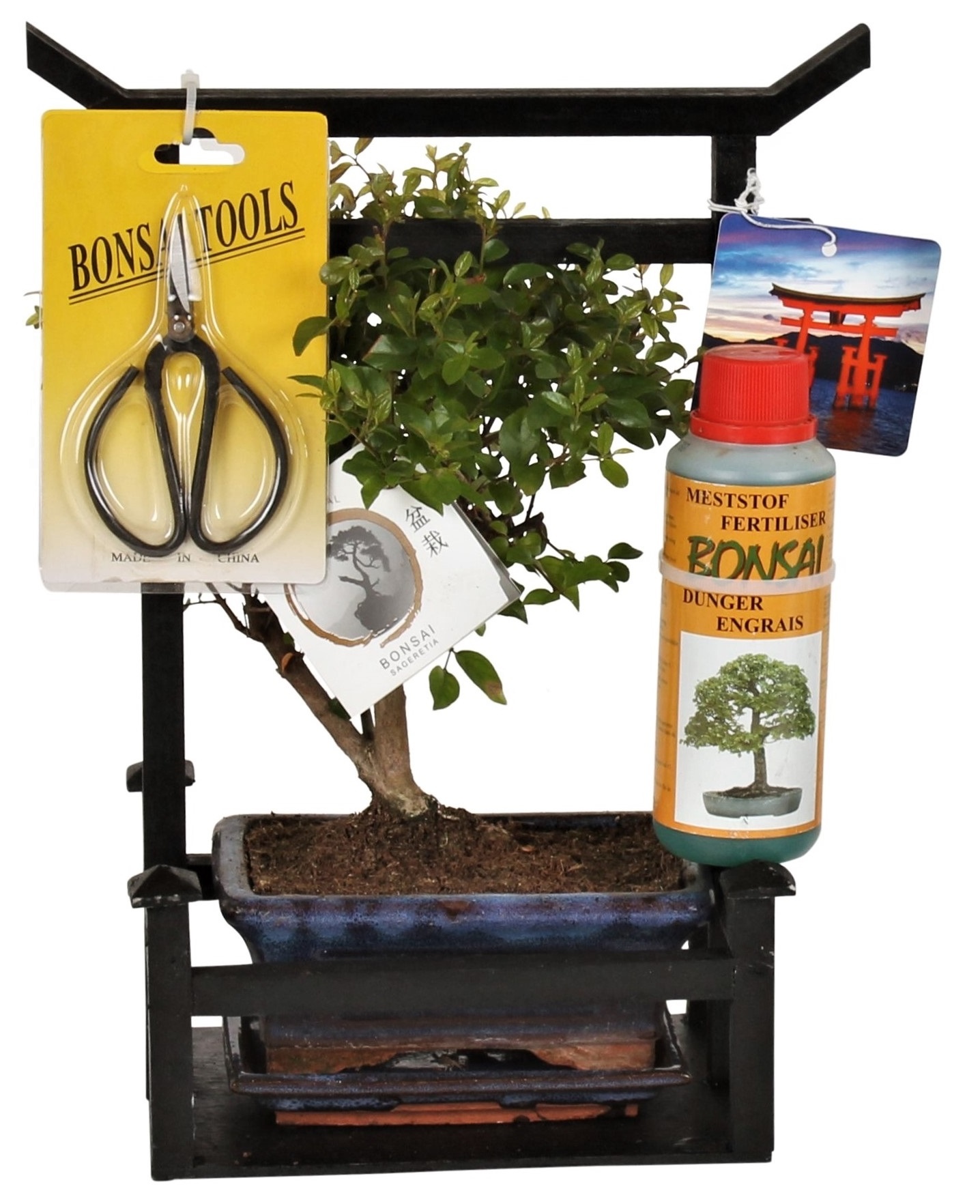 KIT 3 produits pour BONSAI Fertilisation et Entretien