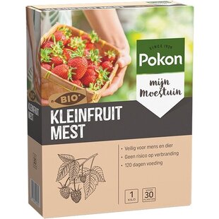 Pokon Engrais Nutrition Petits Fruits 1kg