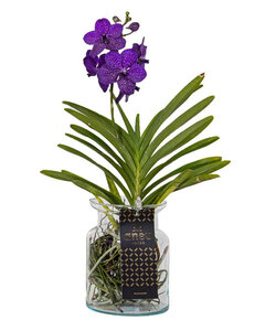 Vanda Bose vase - 45cm - Blå