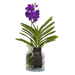 Vanda Bose Vase – 45 cm – Blau