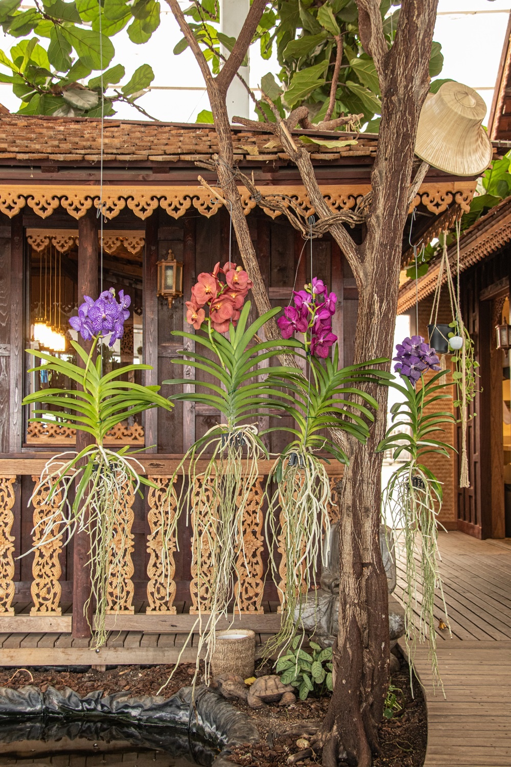 Vanda Div kleuren L FloraStore vanda-div-kleuren-l-florastore
