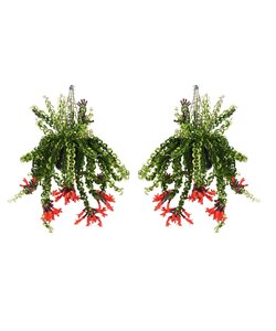 Aeschynantus 'Twister' - Set de 2 - Plante suspendue - ⌀15cm - Hauteur 20-30cm