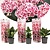 Hortensia Bicolor Rosa - Sæt med 3 - Haveplante - Hydrangea - ø9cm - H25-40cm