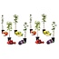 Fruitbomen - Mix van 8 - Prunus - Pyrus - Malus - Pot 9cm - Hoogte 60-70cm