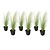 Stipa - Set de 6 - 'Pony Tail' - Hierba ornamental - Maceta 9cm - Altura 20-30cm