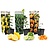 Citrus planter - Blanding af 3 - Citron, Lime, Appelsin - ø9cm - Højde 25-40cm
