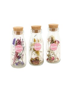 Dried flowers in glass bottles - Set of 3 - dried bouquet