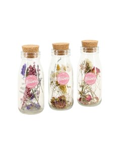 Set van 3 droogbloemen in glazen flesjes - droogboeket