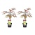 Acer palmatum 'Garnet' - Set di 2 - Acero giapponese - Vaso 19cm Altezza 60-70cm