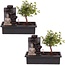 Bonsai tree with Easy-care watering system - Set of 2 - Buddha - Height 25-35cm