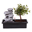 Bonsai con sistema di irrigazione Easy-care - Pietre Zen - Altezza 25-35cm