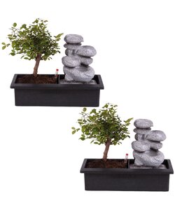 Árbol bonsái con sistema de riego de fácil cuidado -  Juego de 2 - Zen
