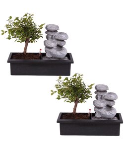 Bonsaiboom met Easy-care watersysteem - Set van 2 - Zen stenen - Hoogte 25-35cm