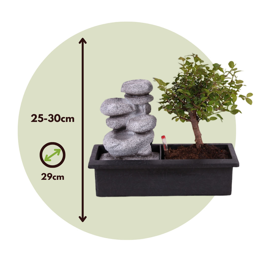 20Pz Irrigazione Goccia Automatica Con Bottiglia Nei Vasi Di Piante Fiori  Bonsai