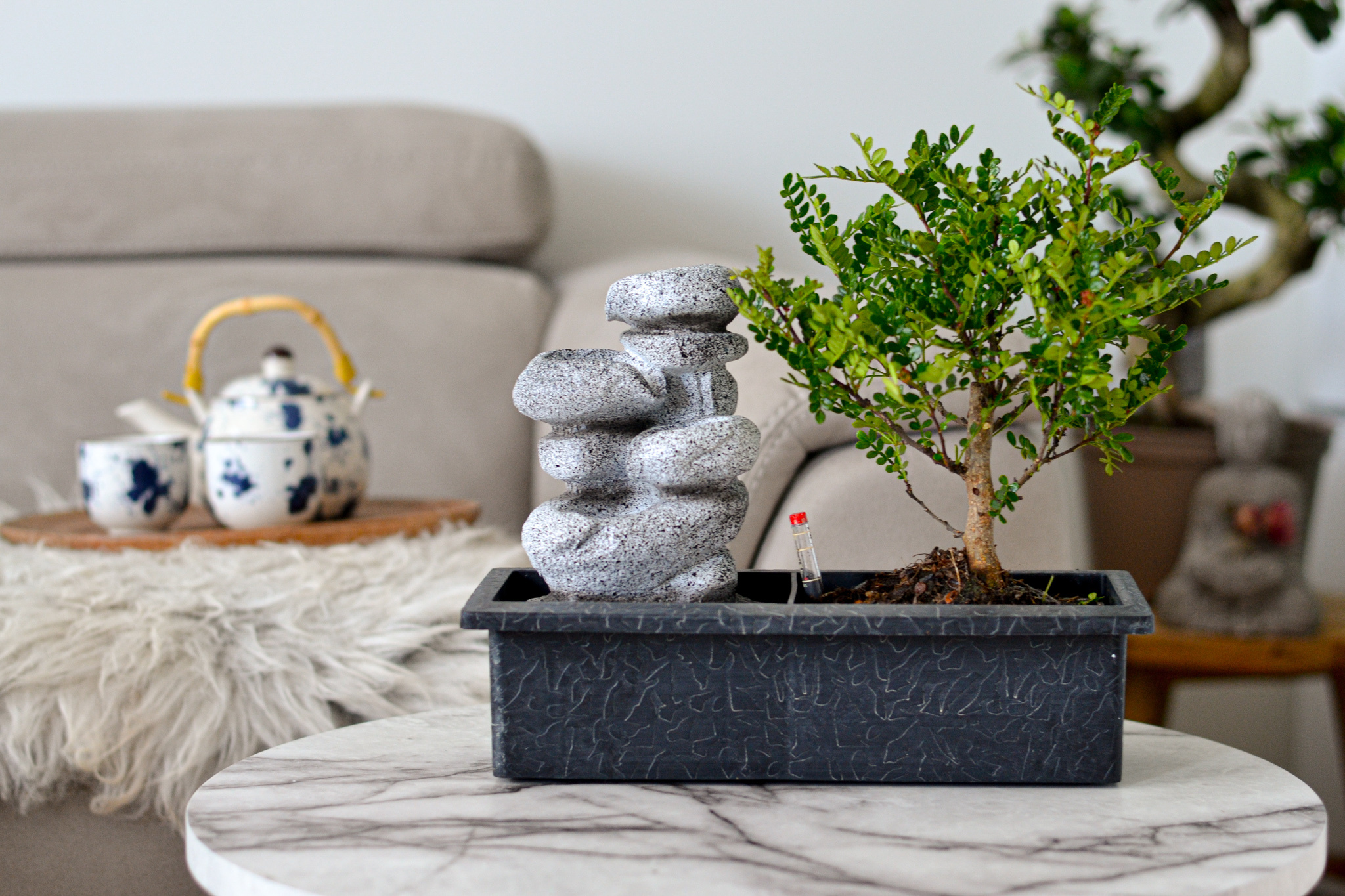 Bonsai tree with Easy-care watering system - x2 - Zen stones - Height  25-35cm
