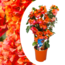 Bougainvillea 'Dania' på stativ - Orange blomster - ø17cm - Højde 50-60cm
